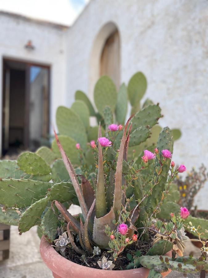 Casa Trieste Alberobello Kültér fotó